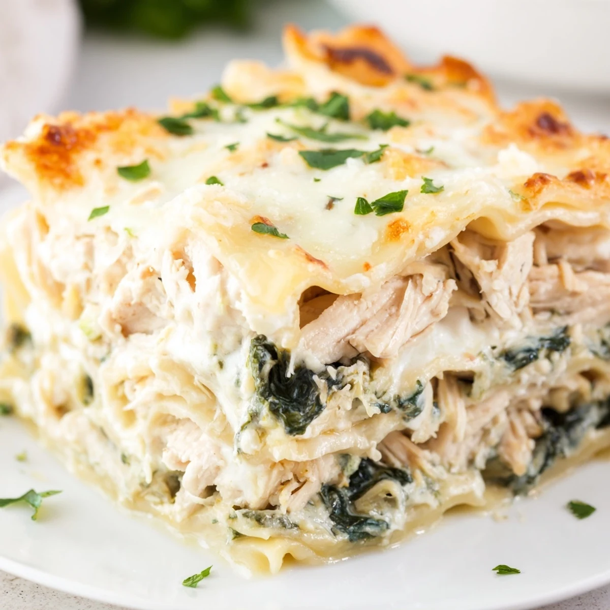Golden bubbling cheese tops the Chicken Alfredo Lasagna, with creamy sauce and layers of pasta visible between cuts.  